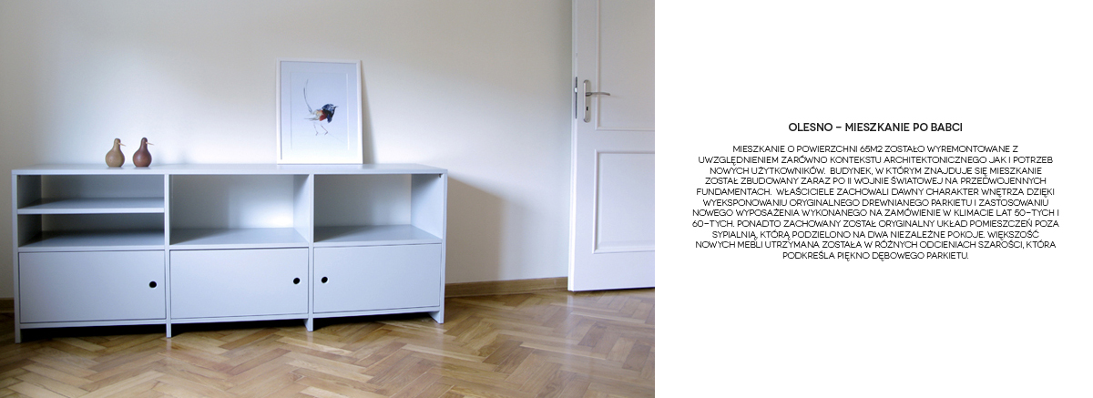 olesno_slide-2
